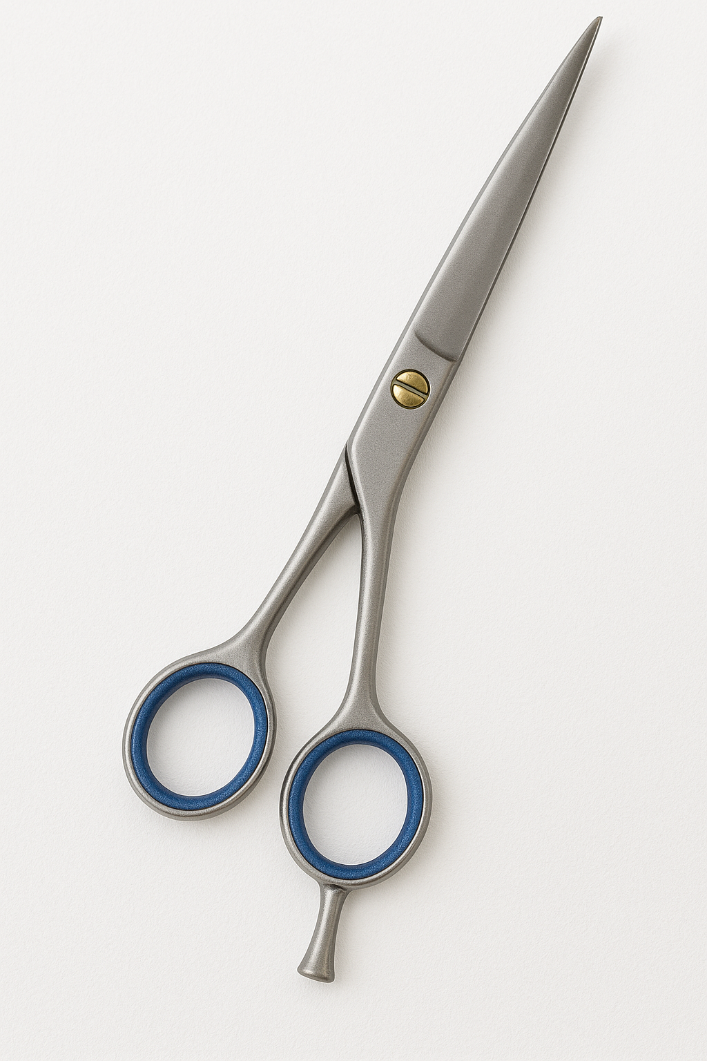 Dhanishka ProEdge Premium Hair Cutting Scissor 6.5" 7.5" β Stainless Steel, Blue Grip Rings