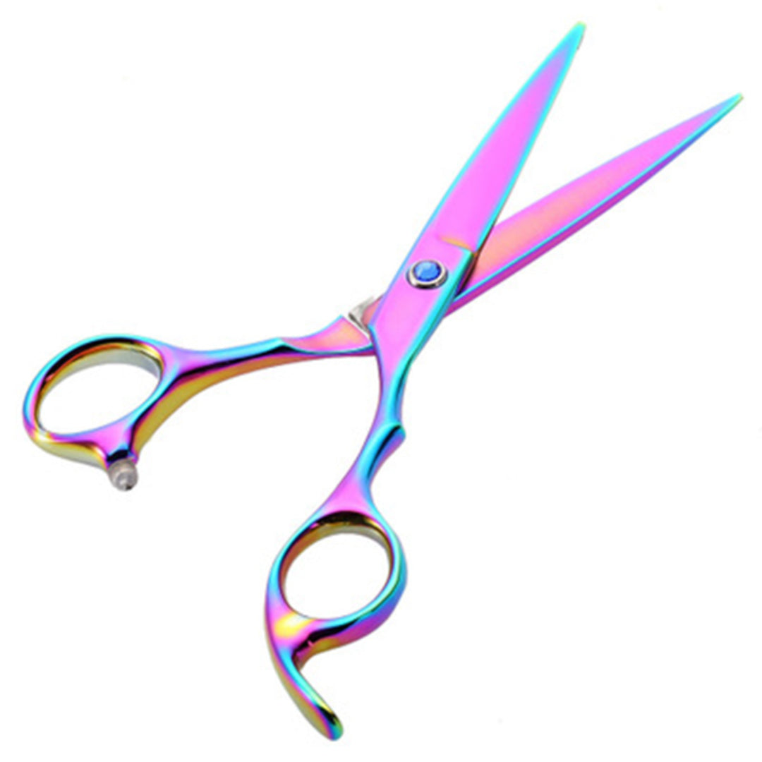 6 Inch Professional Hair Cutting & Thinning Scissors Set – Stainless Steel Barber Shears with Thinning Comb (Rainbow Finish)
