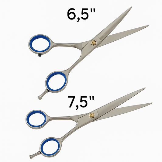 Dhanishka ProEdge Premium Hair Cutting Scissor 6.5" 7.5" – Stainless Steel, Blue Grip Rings