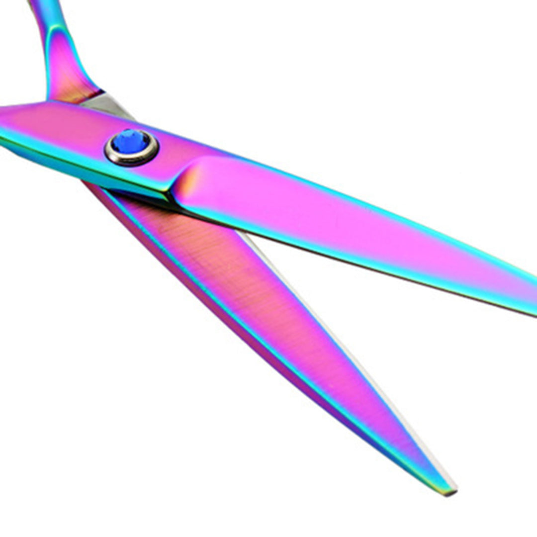 6 Inch Professional Hair Cutting & Thinning Scissors Set – Stainless Steel Barber Shears with Thinning Comb (Rainbow Finish)